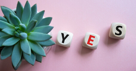Yes symbol. Wooden blocks with word yes. Beautiful pink background with succulent plant. Business...