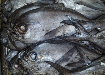 Santiago, Chile - 26 Nov, 2023: Fresh Fish and Seafood on sale at Santiago Central Market