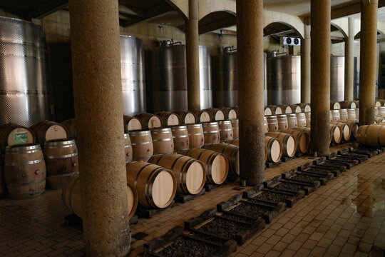 Santiago, Chile - 25 Nov, 2023: Haras de Pirque Vineyard and winery, near Santiago, Chile