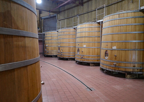Santiago, Chile - 25 Nov, 2023: Haras de Pirque Vineyard and winery, near Santiago, Chile