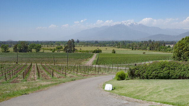 Santiago, Chile - 25 Nov, 2023: Haras de Pirque Vineyard and winery, near Santiago, Chile