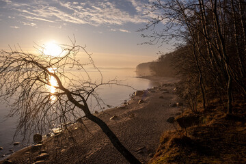 rocky shore of the Baltic sea at dawn haze