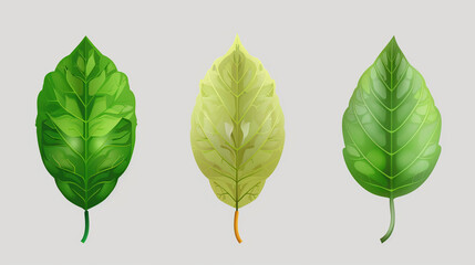 Basil leaves set isolated on grey background. Realistic vector illustration. AI.