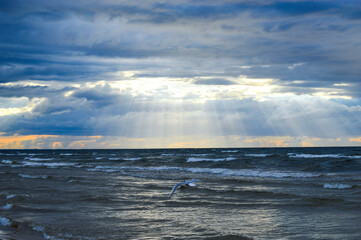 sun rays over the sea
