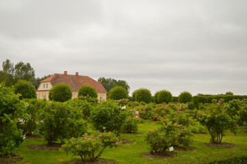 garden in Rundale palace
