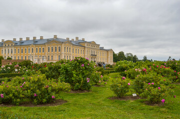 garden in Rundale palace