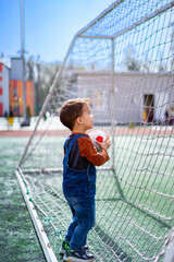 A young boy is holding a soccer ball and looking at the goal. Concept of excitement and...