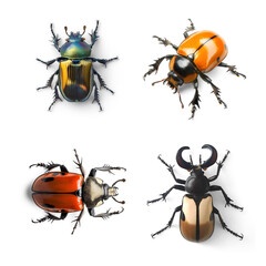 Diverse beetles collection isolated on transparent png background