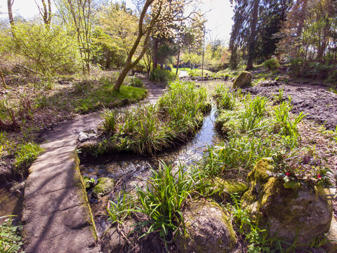 Baron's Haugh in Motherwell and is a real gem for wildlife, Scotland. UK. Wetland hides spotting ducks and swans, or woodpeckers and Nuthatches. Also may see a Kingfisher or an Otter on the river. 