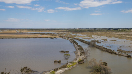 marais en camargue dans le gard près de aigues Mortes