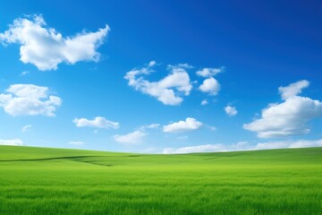 Fototapeta na wymiar Green field with blue sky grassland landscape outdoors.