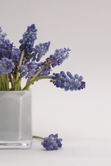 Blue violet flower in vase on beige light background. Minimal empty still life.