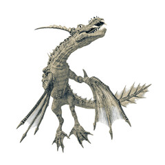 water dragon is turning around on white background in bottom view