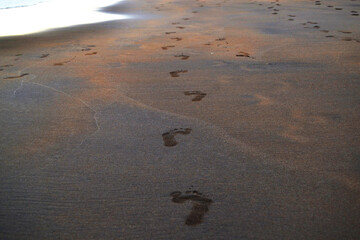 
footprints on the beach

