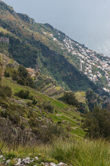 View over vineyards at hiking trail Sentiero degli Dei along the Amalfi Coast down to village Vettica Maggiore, Province of Salerno, Campania, Italy