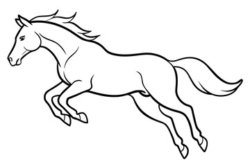 horse illustration