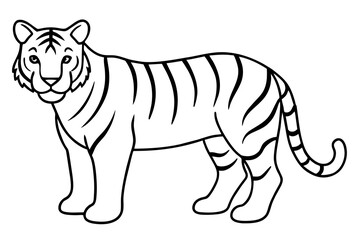 illustration of a tiger