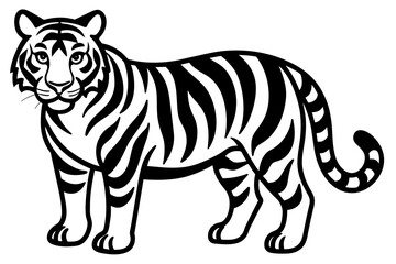 tiger isolated on white