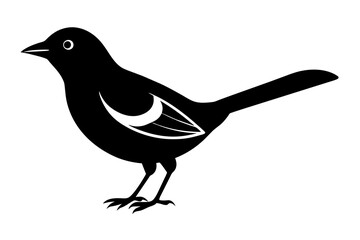 silhouette of a bird