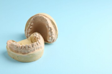 Dental model with gums on light blue background, space for text. Cast of teeth