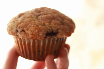 hand holding muffin