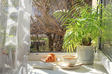 Cup of tea,croissant and homemade palm tree in a pot on a sunny window.The concept of home comfort and greeting of spring.Beautiful floral arrangement with an exotic plant,selective focus.