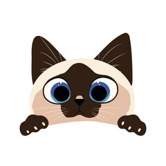 Portrait of a funny Thai kitten, vector illustration