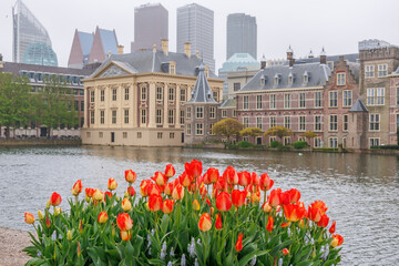 Den Haag in den Niederlanden