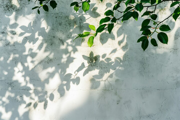 Leaves shadow and tree branch background. Natural leaves tree branch dark shadow and light from sunlight dappled on white concrete wall texture