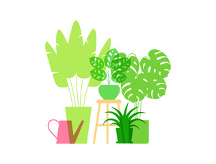 Potted indoor plants. Growing plants. Planter. Houseplants composition. Home decor. Minimalist vector illustration