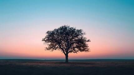 A solitary tree silhouetted against a soft, pastel sky at dusk.