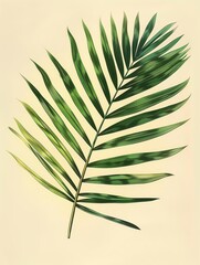 A vintage botanical illustration of one palm leaf in soft green tones on a cream background in the style of a watercolor The illustration is detailed and realistic with a vintage f