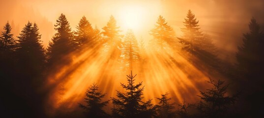 Ethereal orange backlight of car in mist, casting captivating glow in mystical forest