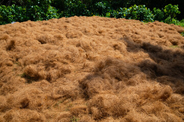 coconut coir rope making with traditional process