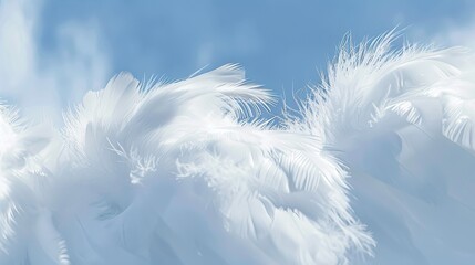 Dreamy blue feather textures against a soft sky background