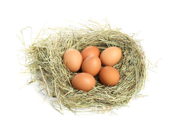 Chicken eggs in nest isolated on white