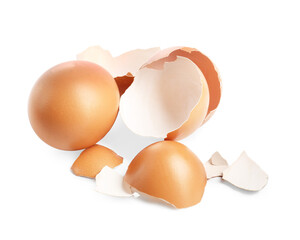 Chicken egg and pieces of shell isolated on white