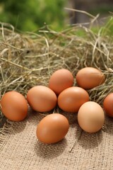 Fresh chicken eggs and dried hay on burlap fabric outdoors
