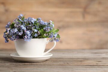 Beautiful forget-me-not flowers in cup and saucer on wooden table, closeup. Space for text