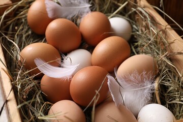 Fresh chicken eggs and dried hay in wooden crate, closeup