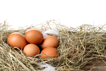Fresh raw chicken eggs in nest on wooden table against white background