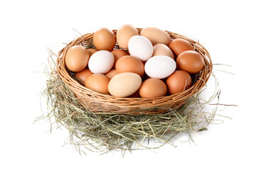 Fresh chicken eggs in wicker basket and dried hay isolated on white