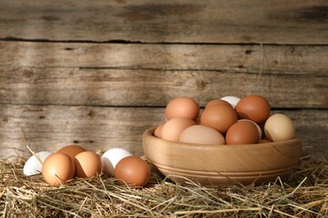 Fresh chicken eggs on dried straw near wooden wall