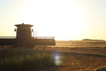 tractor in the field