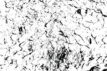 White black tree bark texture vector overlay texture. Old wood texture flat surface. Real wooden surface background bark. Top view plank.