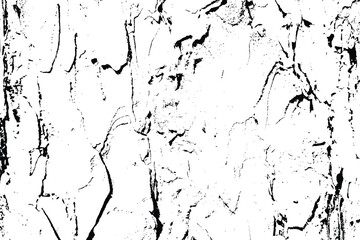 White black tree bark texture vector overlay texture. Old wood texture flat surface. Real wooden surface background bark. Top view plank. - obrazy, fototapety, plakaty