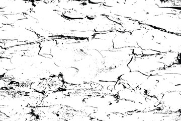 Obraz premium White black tree bark texture vector overlay texture. Old wood texture flat surface. Real wooden surface background bark. Top view plank.