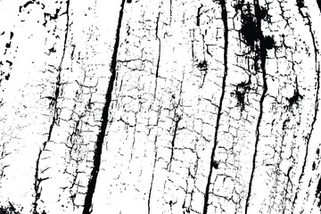 White black tree bark texture vector overlay texture. Old wood texture flat surface. Real wooden surface background bark. Top view plank.