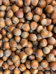 Hazelnuts Close-Up