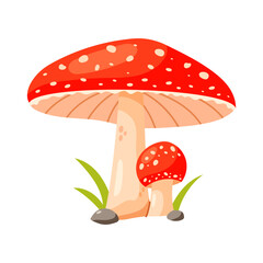 Cute cartoon illustration of a mushroom isolated on a white background